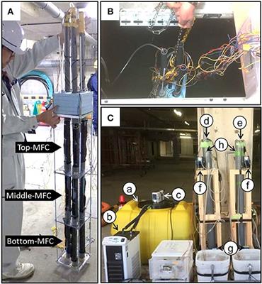 On Site Evaluation of a Tubular Microbial Fuel Cell Using an Anion Exchange Membrane for Sewage Water Treatment